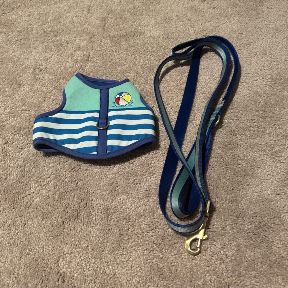 Ellen Degeneres Matching Dog Harness & Leash Set